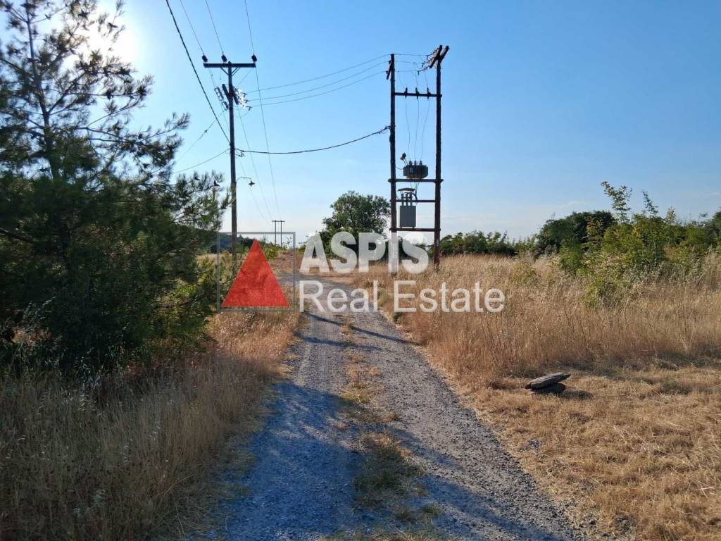 Εξωτερικοι χώροι