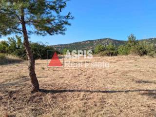 Εξωτερικοι χώροι