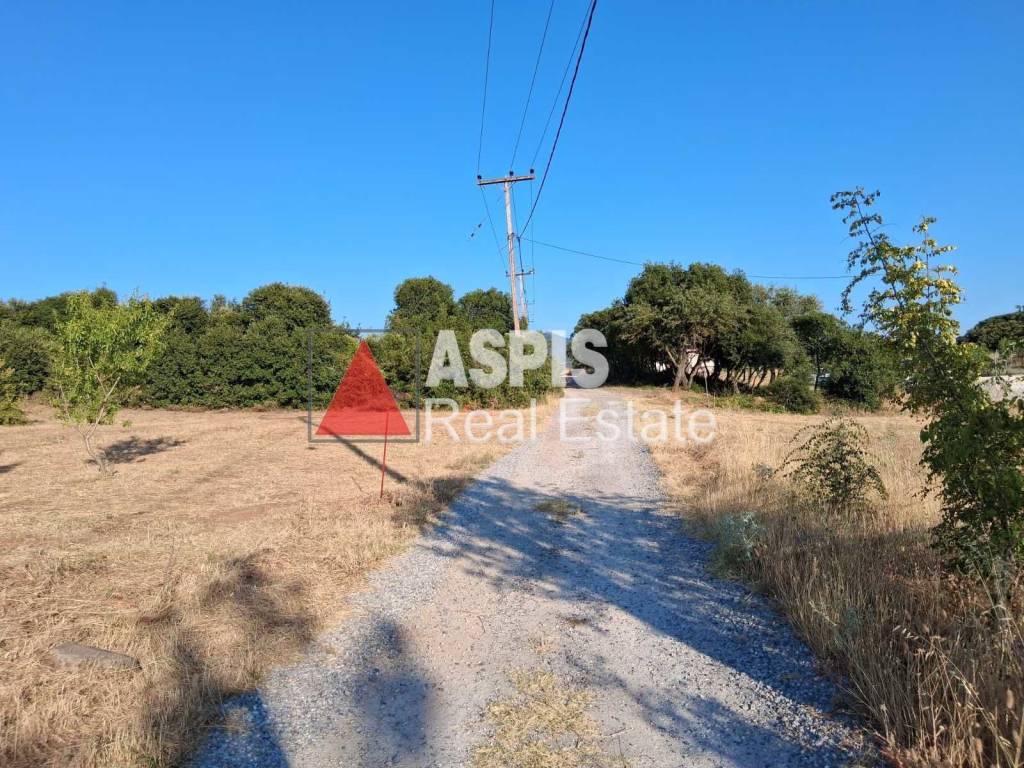 Εξωτερικοι χώροι