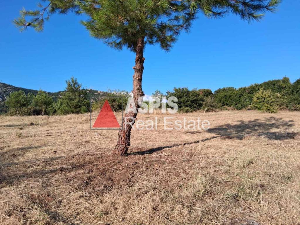 Εξωτερικοι χώροι