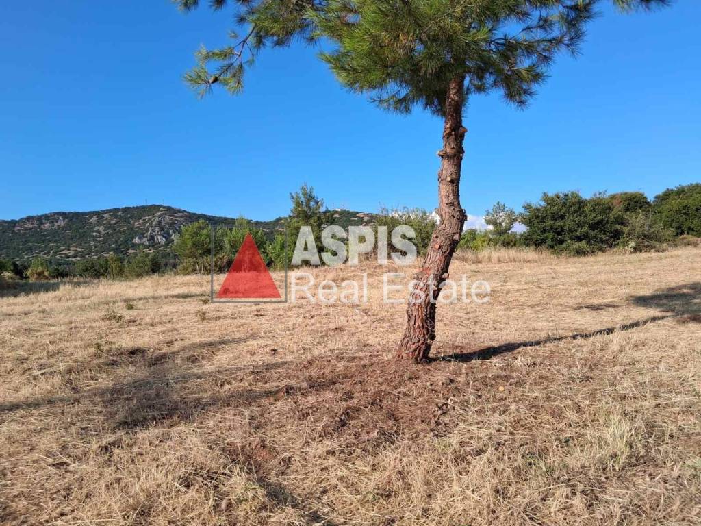 Εξωτερικοι χώροι