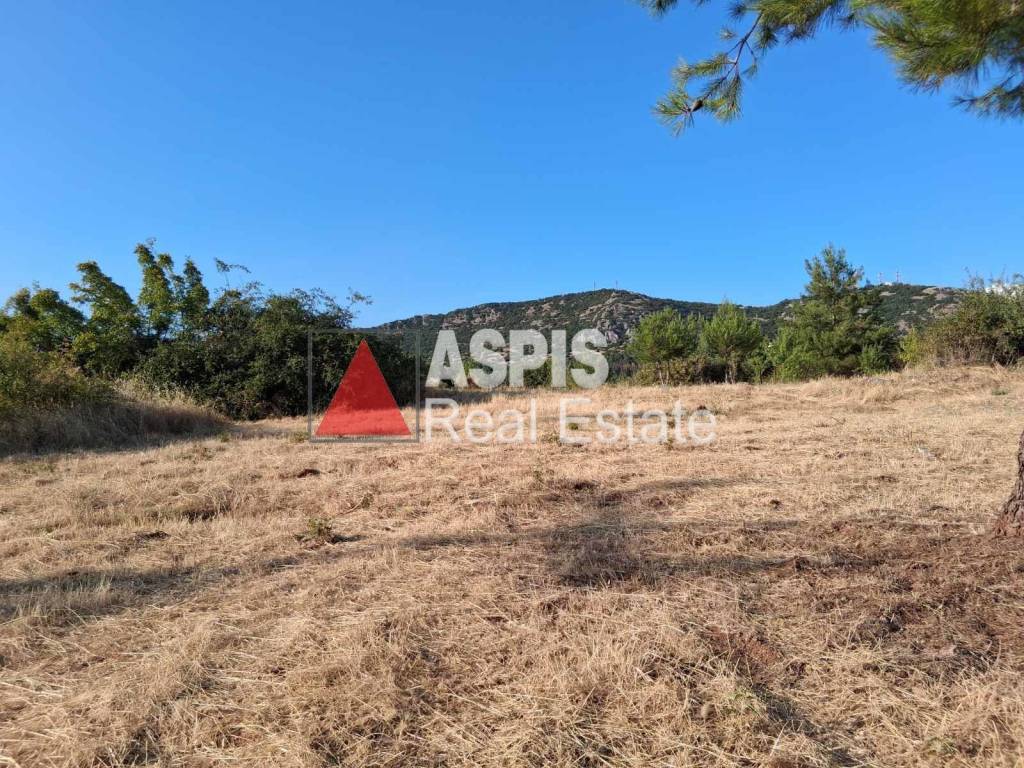 Εξωτερικοι χώροι