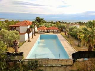 Hotel - Grekodom 33456|509296