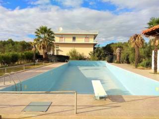 Hotel - Grekodom 33456|509280