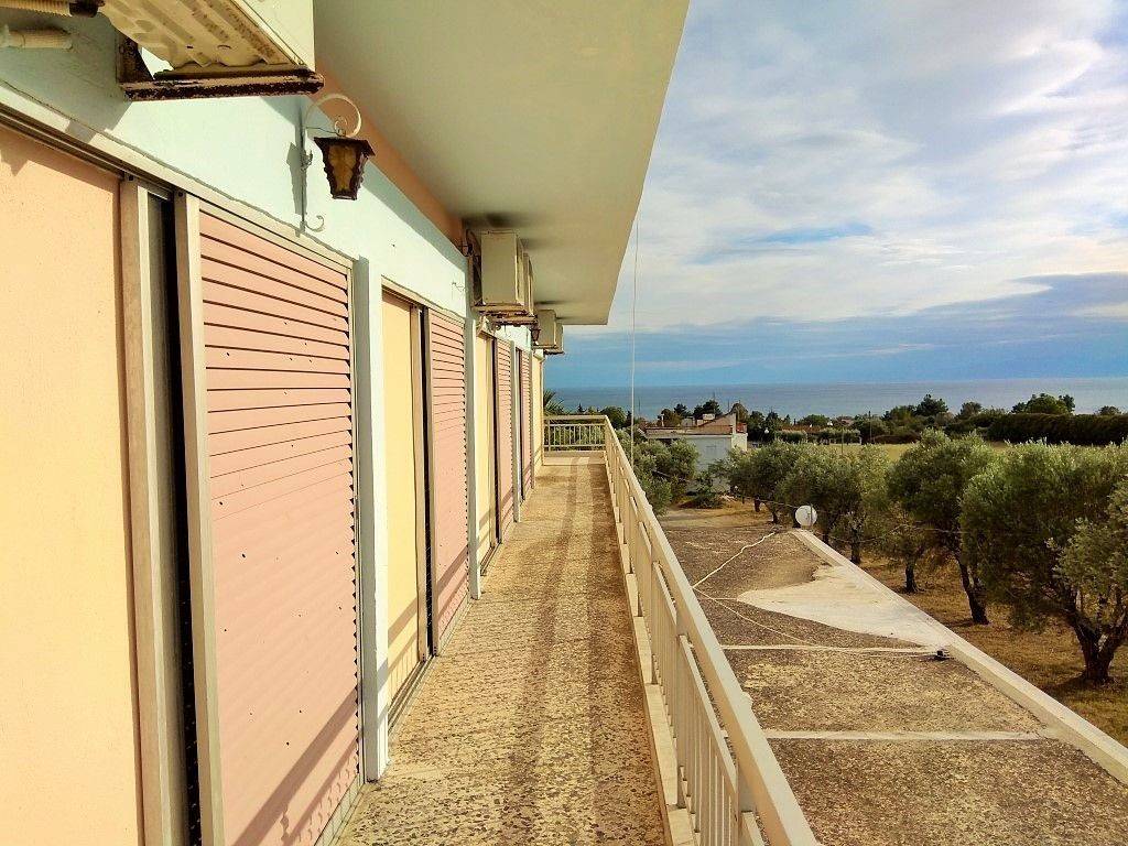 Hotel - Grekodom 33456|509294