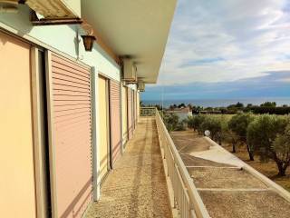 Hotel - Grekodom 33456|509294