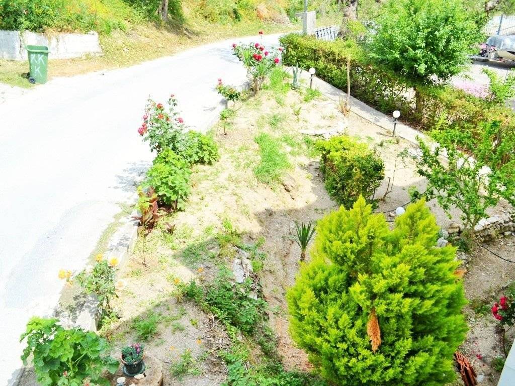 Hotel - Grekodom 22303|300582