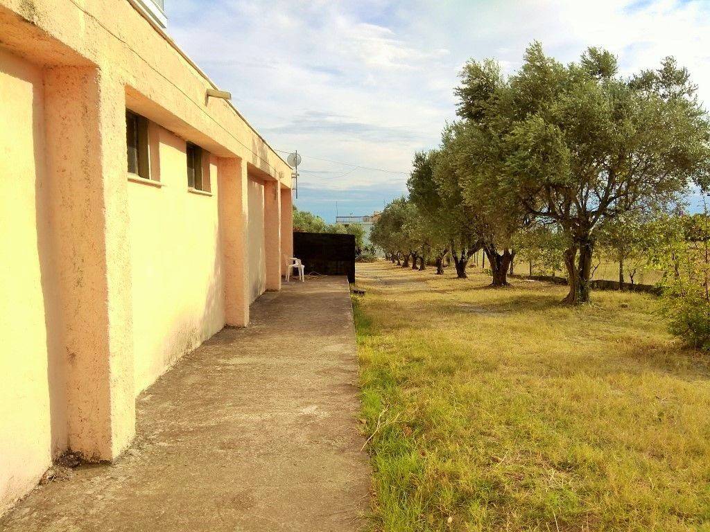 Hotel - Grekodom 33456|509283