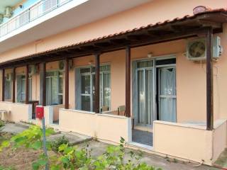 Hotel - Grekodom 33456|509284