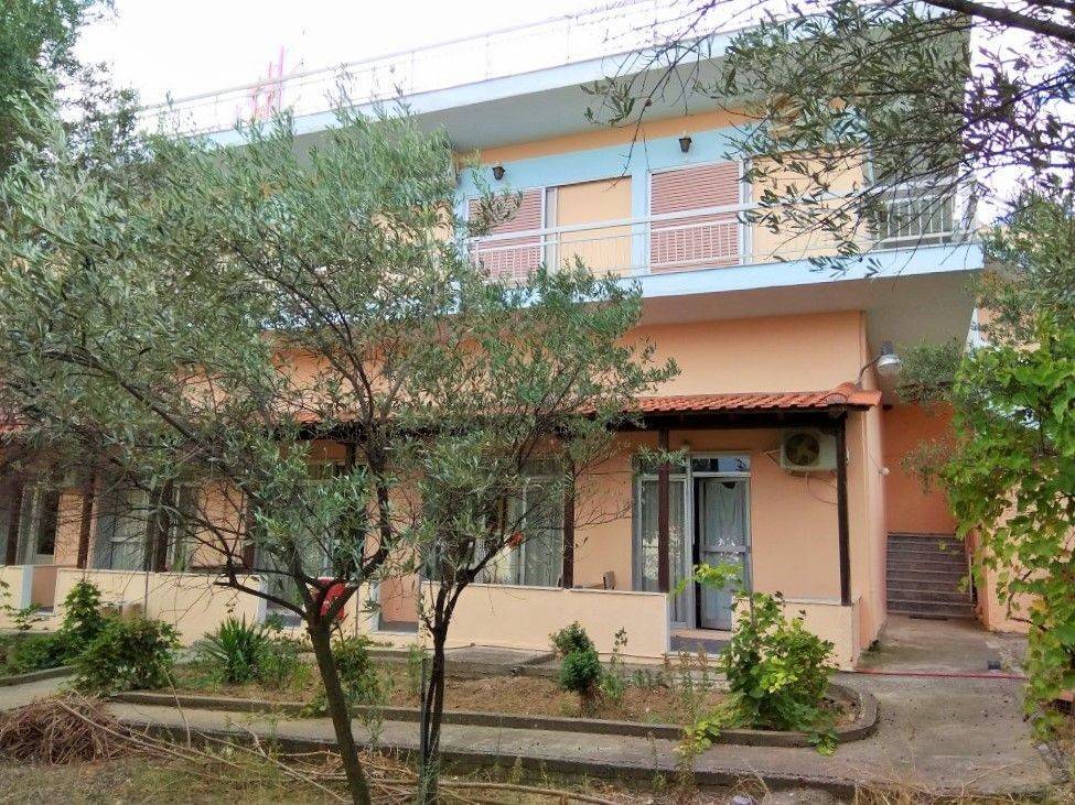 Hotel - Grekodom 33456|509285