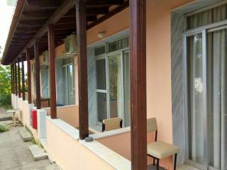 Hotel - Grekodom 33456|509287