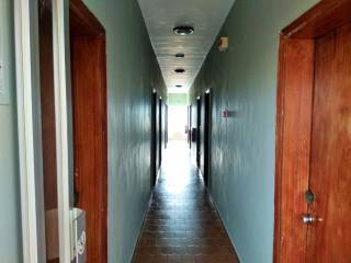 Hotel - Grekodom 33456|509288