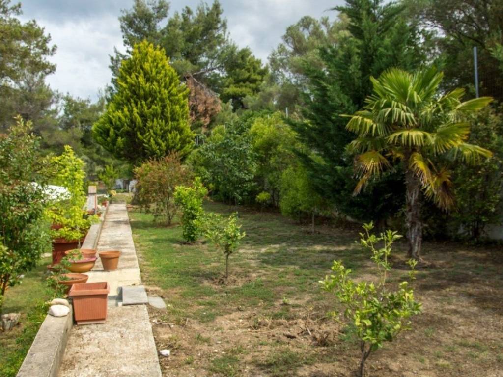 Villa - Grekodom 25959|342094