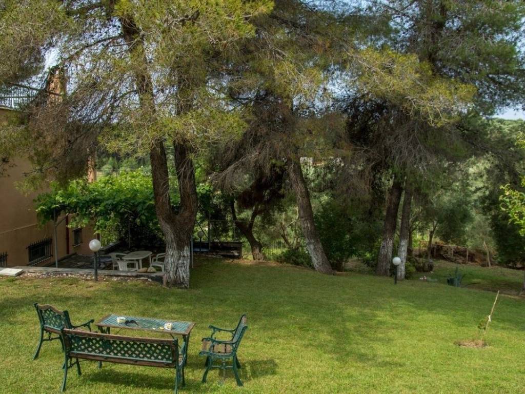 Villa - Grekodom 25959|342097