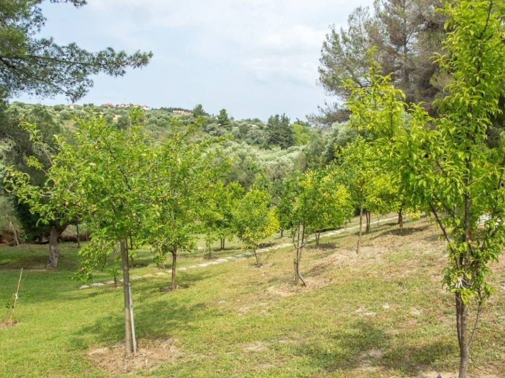 Villa - Grekodom 25959|342098