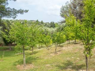 Villa - Grekodom 25959|342098