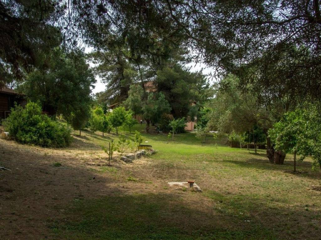 Villa - Grekodom 25959|342099