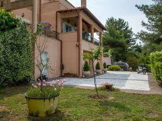 Villa - Grekodom 25959|342102