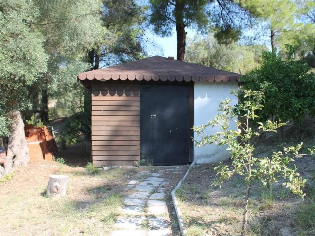 Villa - Grekodom 25959|341846