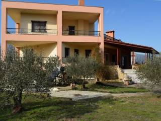 Detached - Grekodom 35694|540720