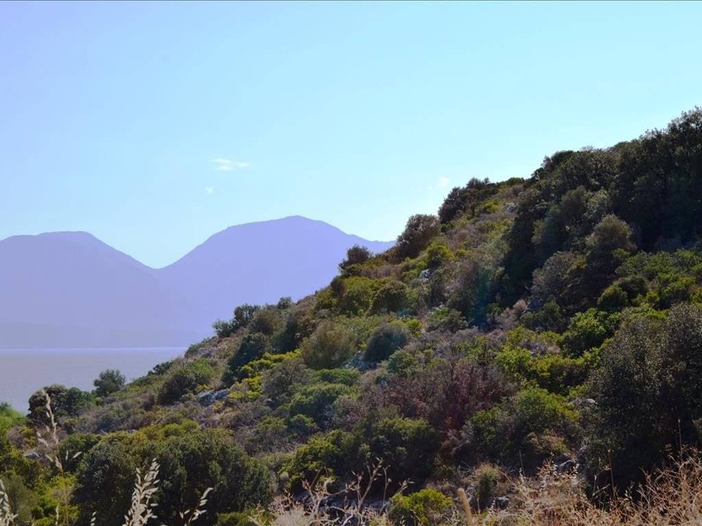 Detached - Grekodom 26503|355948