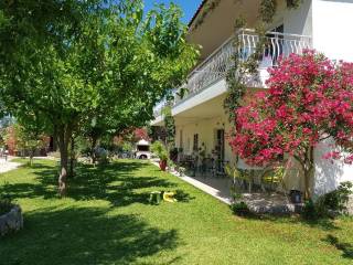 Hotel - Grekodom 32343|492609