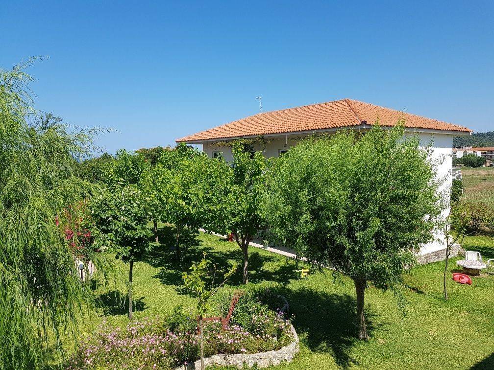 Hotel - Grekodom 32343|492601