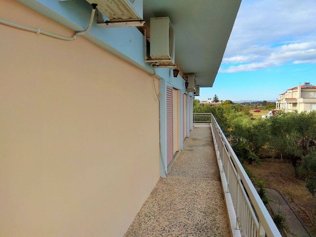 Hotel - Grekodom 33456|509292