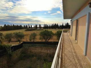 Hotel - Grekodom 33456|509297