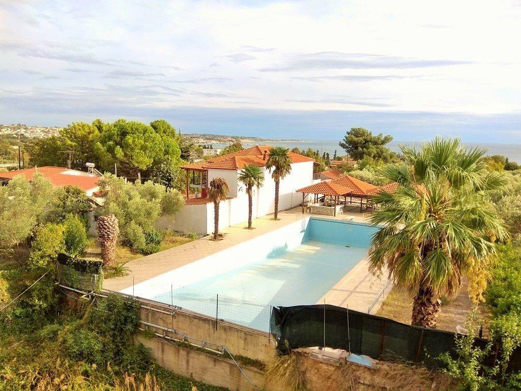 Hotel - Grekodom 33456|509295