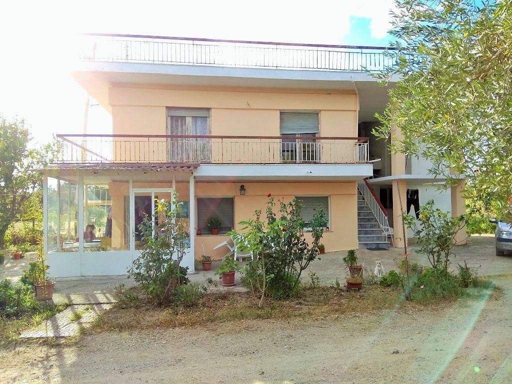 Hotel - Grekodom 33456|509279