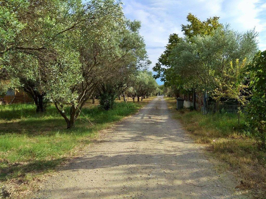 Hotel - Grekodom 33456|509278