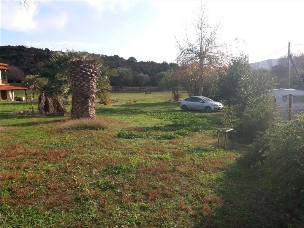 Detached - Grekodom 36304|548463