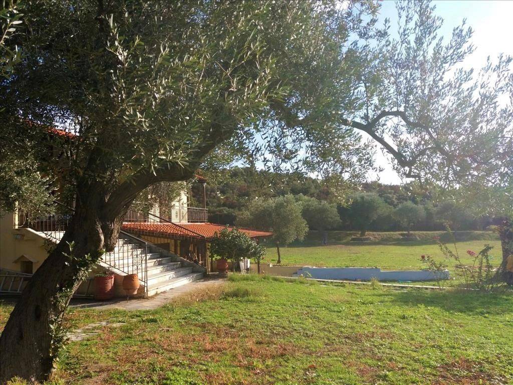 Detached - Grekodom 36304|548465