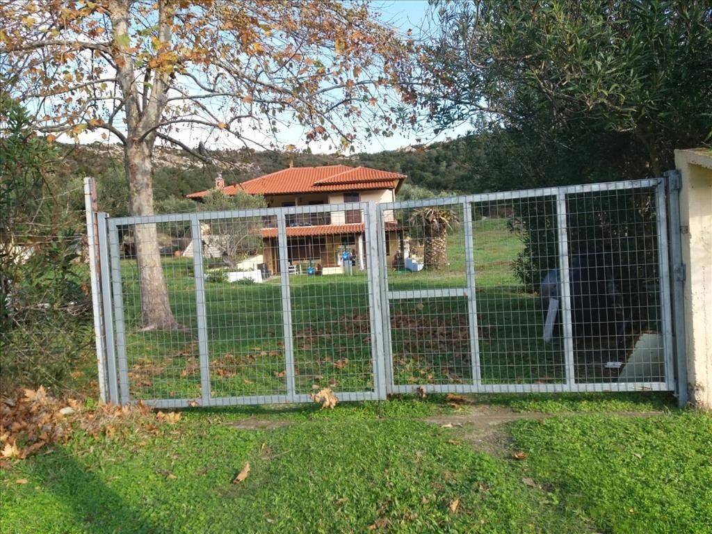 Detached - Grekodom 36304|548469