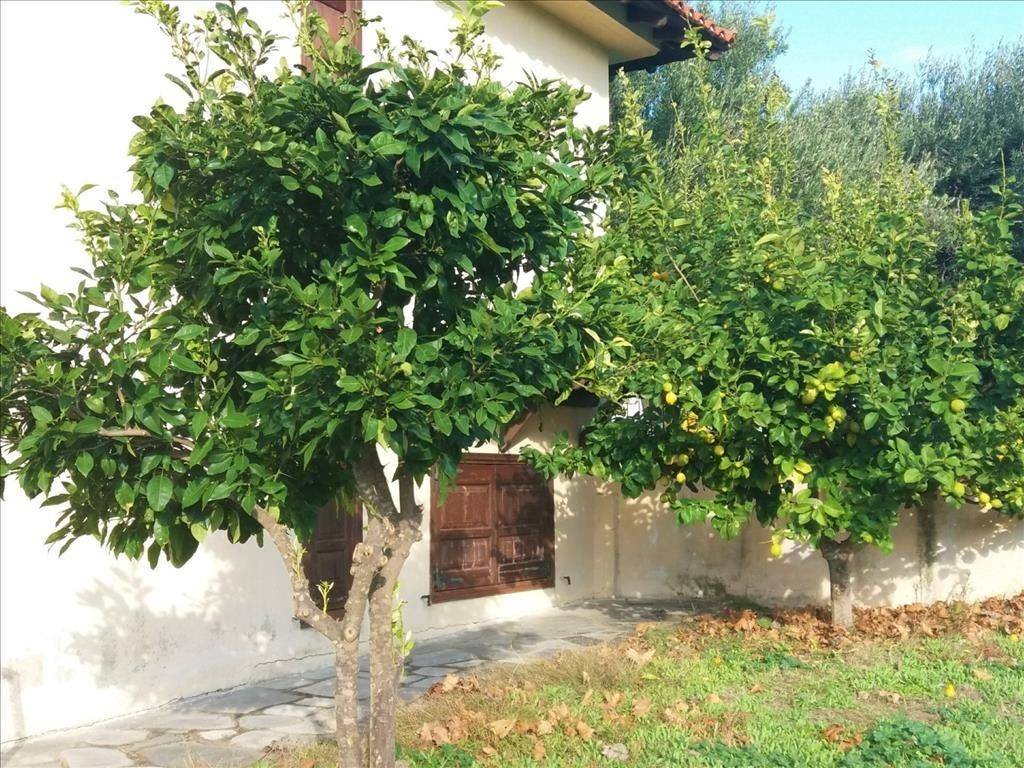 Detached - Grekodom 36304|548482