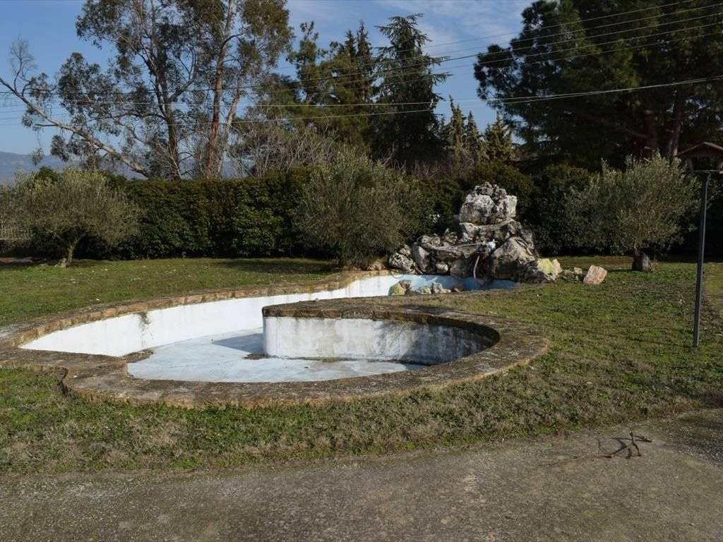 Detached - Grekodom 35694|540722