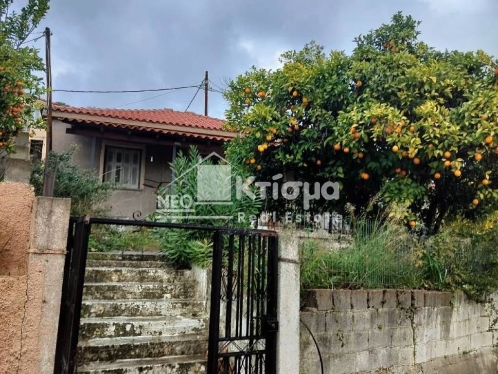 Εξωτερικός χώρος