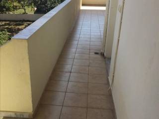 Hotel - Grekodom 37949|567518