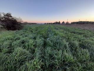 Plot - Grekodom 49478|734375