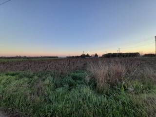 Plot - Grekodom 49478|734372