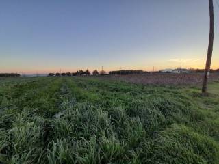 Plot - Grekodom 49478|734373