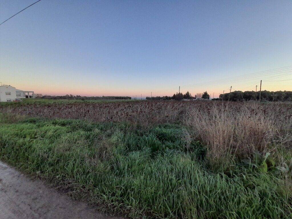 Plot - Grekodom 49478|734374