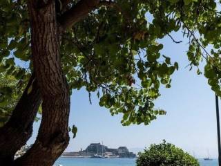 Apartment - Grekodom 49618|737063