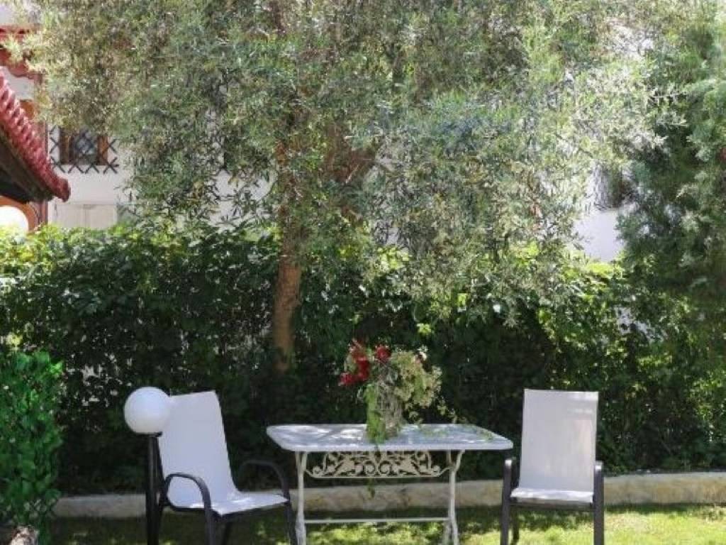 Hotel - Grekodom 50522|749288