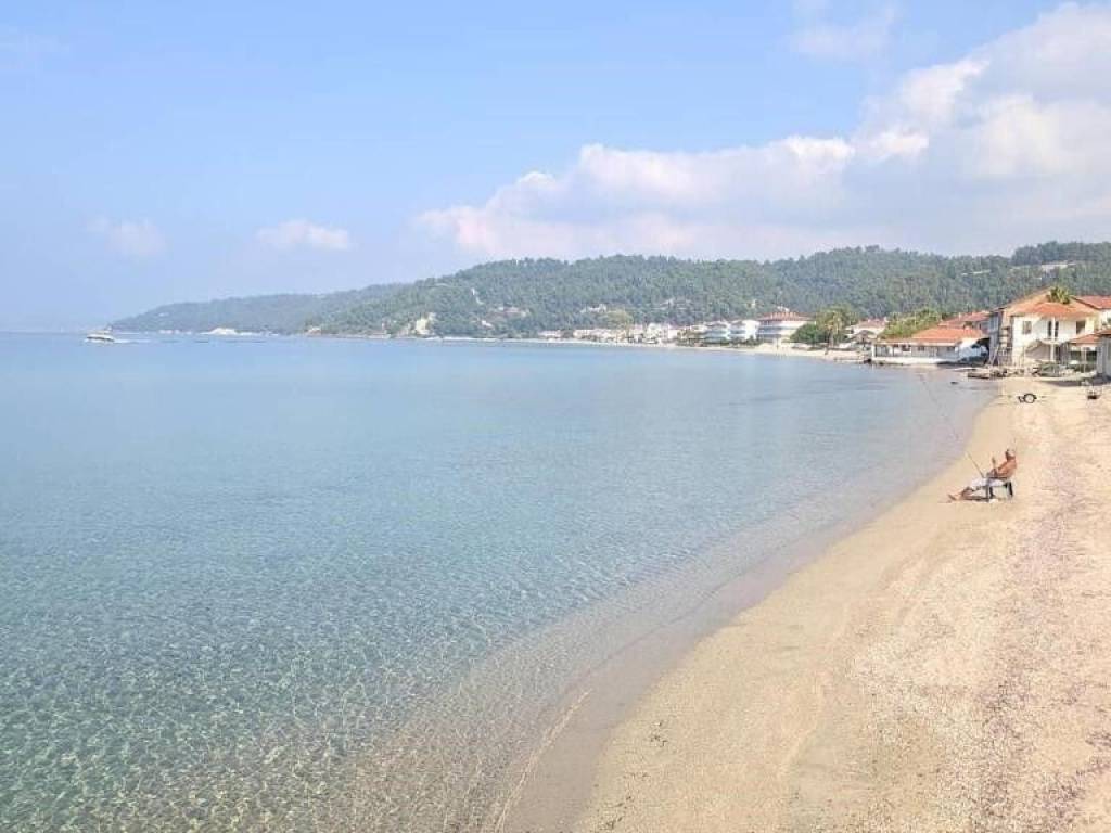 Hotel - Grekodom 50522|749289