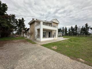 Detached - Grekodom 51881|839459