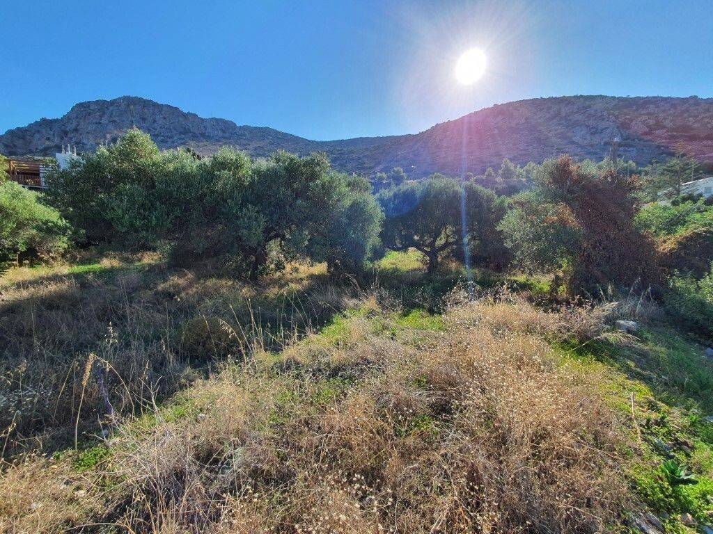 Plot - Grekodom 49171|730155