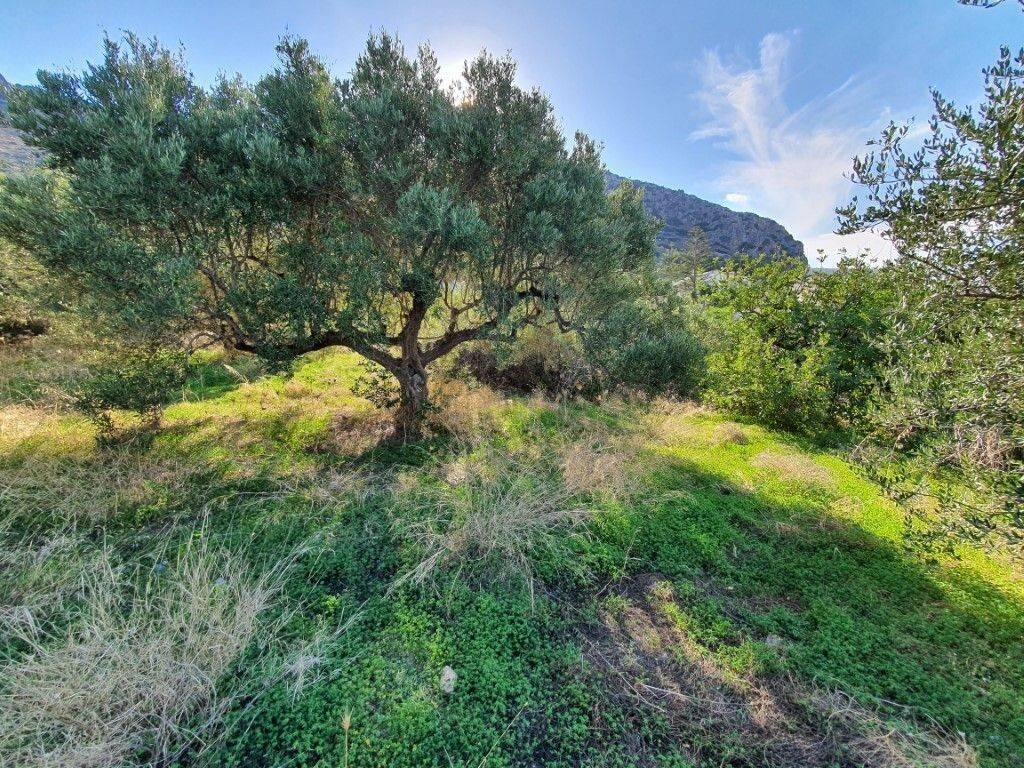 Plot - Grekodom 49171|730154