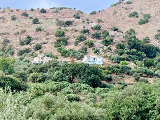 Apartment - Grekodom 51884|759483